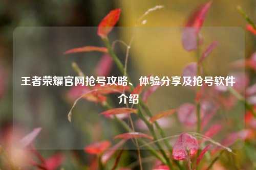 王者荣耀官网抢号攻略、体验分享及抢号软件介绍