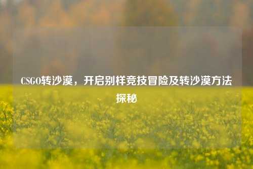 CSGO转沙漠,开启别样竞技冒险及转沙漠方法探秘