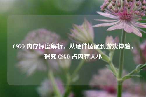 CSGO 内存深度解析，从硬件适配到游戏体验，探究 CSGO 占内存大小