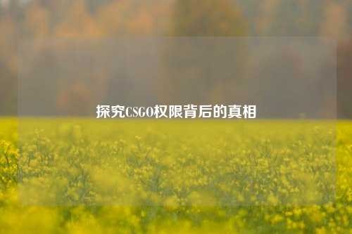 探究CSGO权限背后的真相
