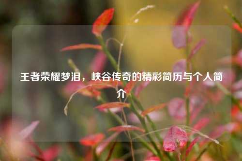 王者荣耀梦泪，峡谷传奇的精彩简历与个人简介
