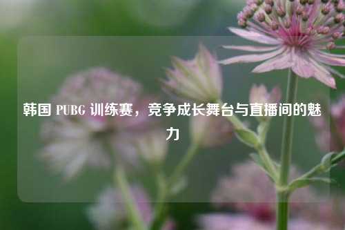 韩国 PUBG 训练赛,竞争成长舞台与直播间的魅力