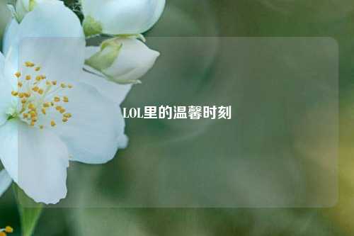 LOL里的温馨时刻