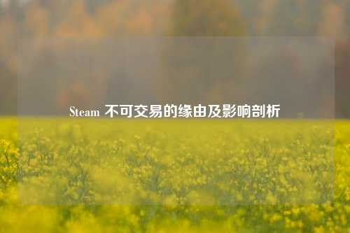 Steam 不可交易的缘由及影响剖析