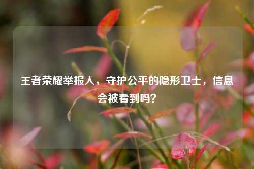王者荣耀举报人，守护公平的隐形卫士，信息会被看到吗？