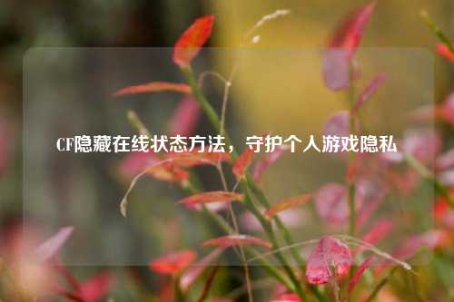 CF隐藏在线状态方法,守护个人游戏隐私