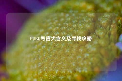 PUBG导盲犬含义及寻找攻略