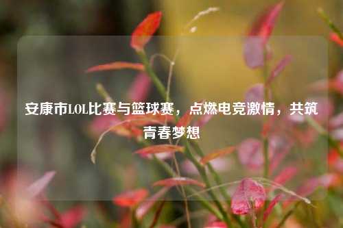 安康市LOL比赛与篮球赛，点燃电竞激情，共筑青春梦想
