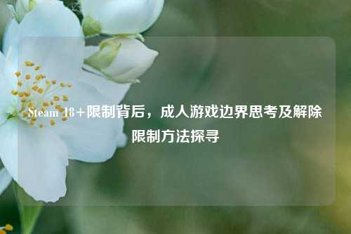 Steam 18+限制背后，成人游戏边界思考及解除限制方法探寻