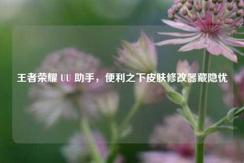 王者荣耀 UU 助手,便利之下皮肤修改器藏隐忧