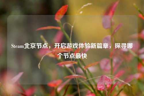 Steam北京节点,开启游戏体验新篇章,探寻哪个节点最快