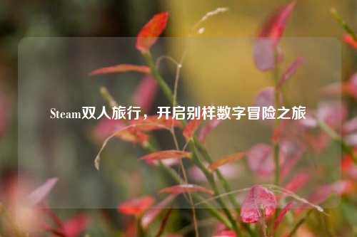 Steam双人旅行，开启别样数字冒险之旅