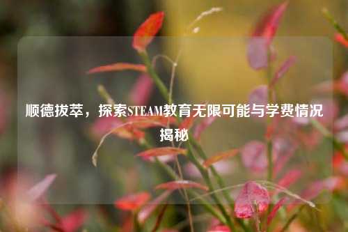 顺德拔萃，探索STEAM教育无限可能与学费情况揭秘