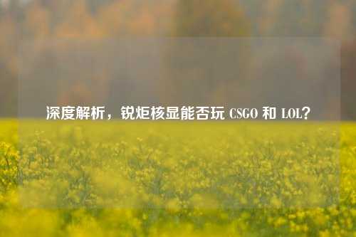深度解析,锐炬核显能否玩 CSGO 和 LOL?