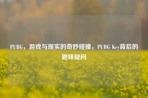 PUBG,游戏与现实的奇妙碰撞,PUBG Key背后的趣味疑问