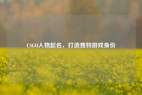 CSGO人物起名,打造独特游戏身份