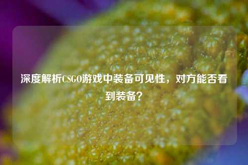 深度解析CSGO游戏中装备可见性，对方能否看到装备？