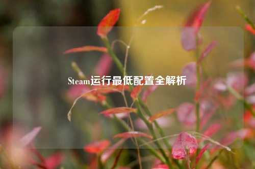 Steam运行最低配置全解析