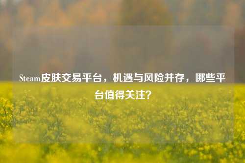 Steam皮肤交易平台,机遇与风险并存,哪些平台值得关注?
