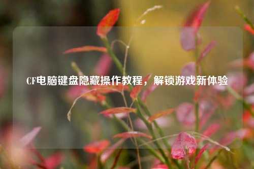 CF电脑键盘隐藏操作教程，解锁游戏新体验