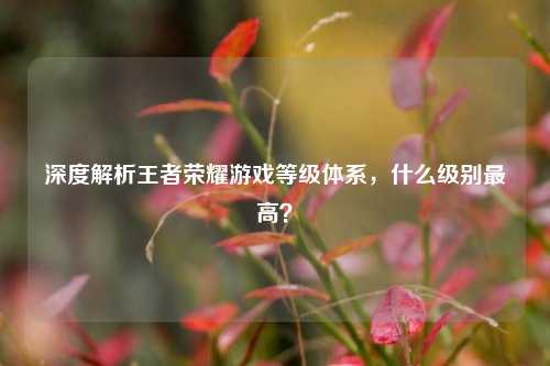 深度解析王者荣耀游戏等级体系,什么级别最高?