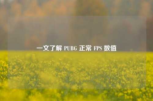 一文了解 PUBG 正常 FPS 数值