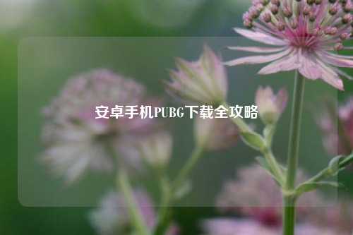 安卓手机PUBG下载全攻略