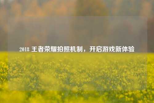 2018 王者荣耀拍照机制，开启游戏新体验