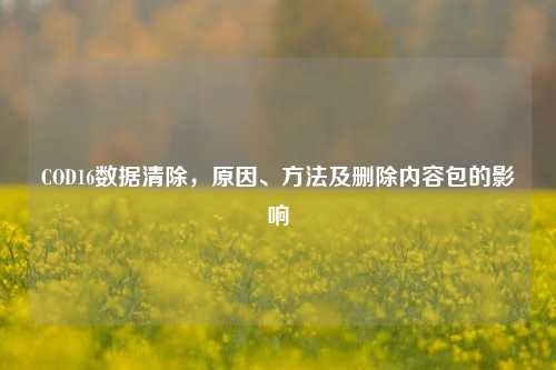 COD16数据清除，原因、方法及删除内容包的影响