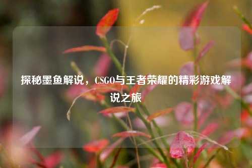 探秘墨鱼解说，CSGO与王者荣耀的精彩游戏解说之旅