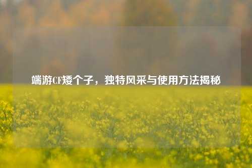 端游CF矮个子，独特风采与使用方法揭秘