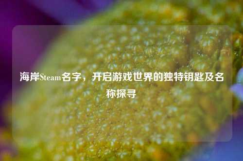 海岸Steam名字，开启游戏世界的独特钥匙及名称探寻