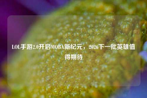 LOL手游2.0开启MOBA新纪元，2026下一批英雄值得期待