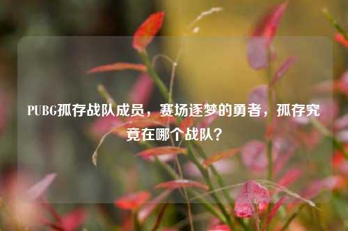 PUBG孤存战队成员,赛场逐梦的勇者,孤存究竟在哪个战队?
