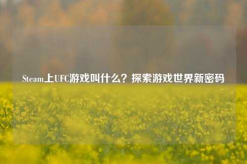 Steam上UFC游戏叫什么？探索游戏世界新密码