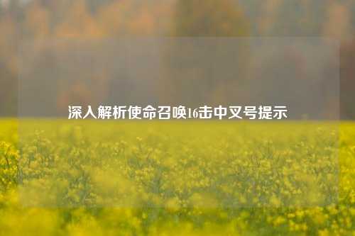 深入解析使命召唤16击中叉号提示