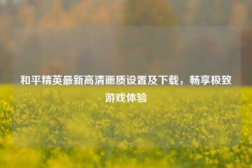 和平精英最新高清画质设置及下载,畅享极致游戏体验