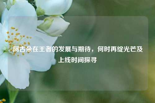 阿古朵在王者的发展与期待，何时再绽光芒及上线时间探寻