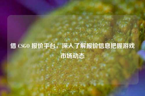 借 CSGO 报价平台，深入了解报价信息把握游戏市场动态