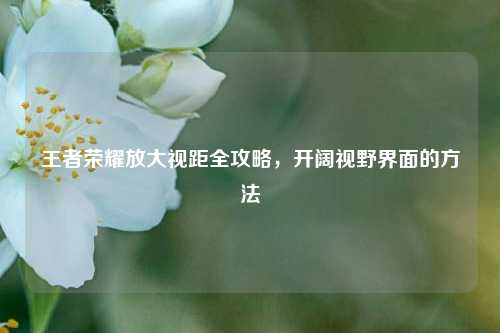 王者荣耀放大视距全攻略,开阔视野界面的方法