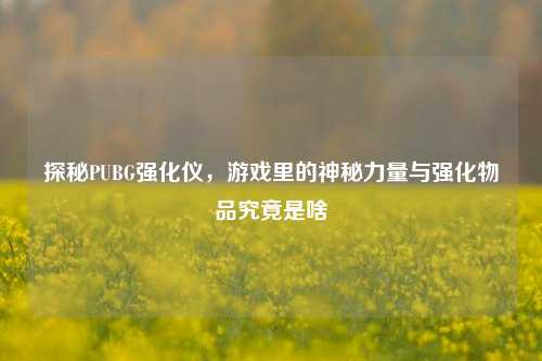 探秘PUBG强化仪，游戏里的神秘力量与强化物品究竟是啥