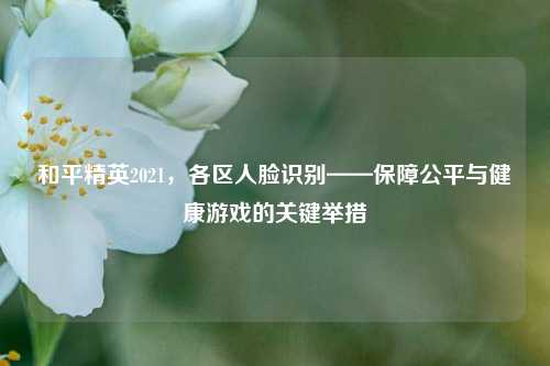 和平精英2021,各区人脸识别——保障公平与健康游戏的关键举措