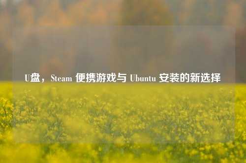 U盘,Steam 便携游戏与 Ubuntu 安装的新选择