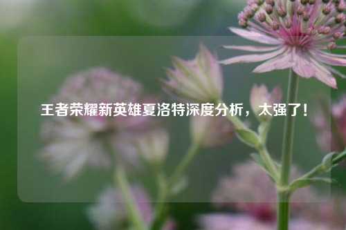 王者荣耀新英雄夏洛特深度分析，太强了！