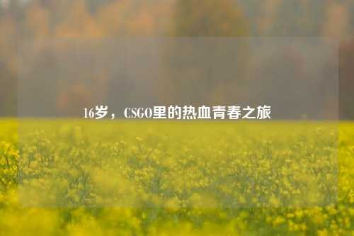 16岁，CSGO里的热血青春之旅
