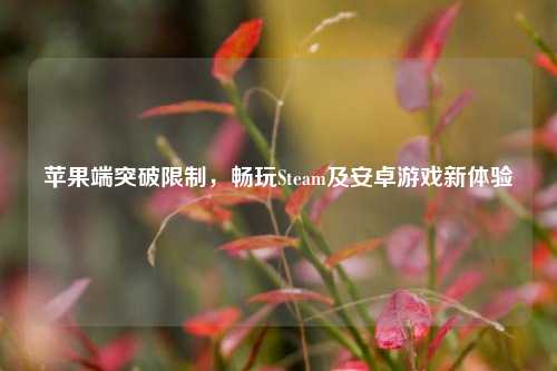 苹果端突破限制，畅玩Steam及安卓游戏新体验