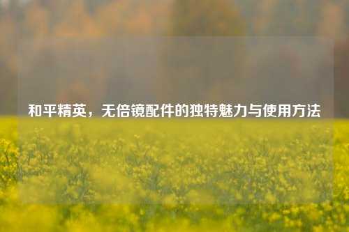 和平精英，无倍镜配件的独特魅力与使用方法