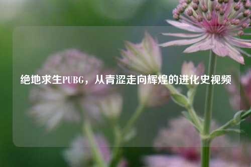 绝地求生PUBG，从青涩走向辉煌的进化史视频