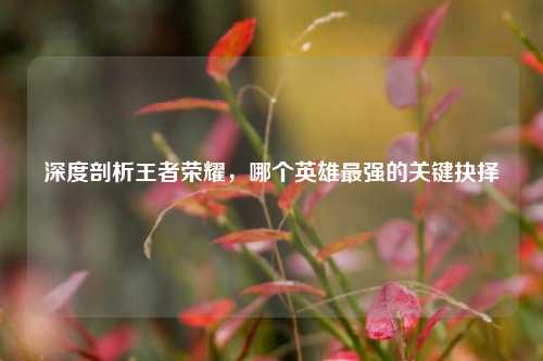 深度剖析王者荣耀，哪个英雄最强的关键抉择