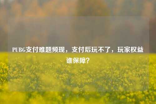 PUBG支付难题频现，支付后玩不了，玩家权益谁保障？